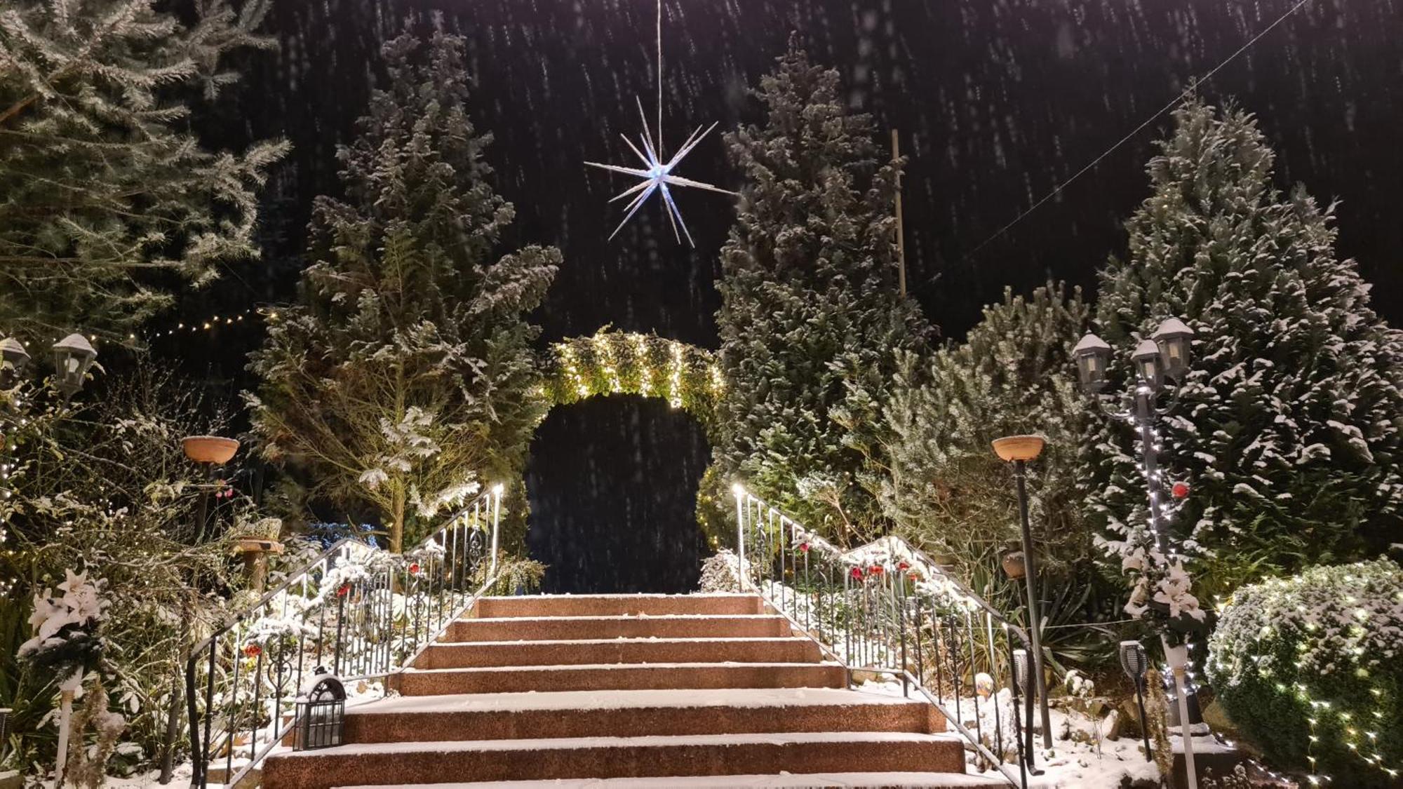 Hotel Am Wald B&B Michendorf Luaran gambar